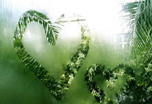 乐鱼体育-拉文化身关键先生，鹈鹕硬仗力克独行侠展露季后赛獠牙