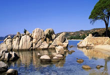 乐鱼体育网站入口-罗德里戈完美演绎，玻利维亚横扫塞内加尔展现足球新势力